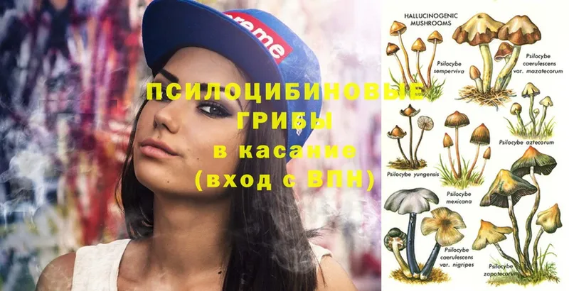 Галлюциногенные грибы Magic Shrooms  где продают   Фёдоровский 